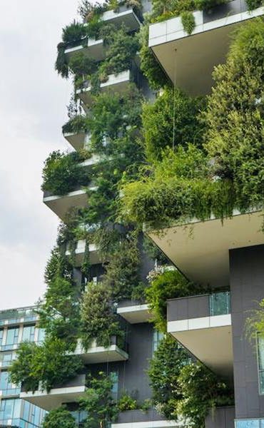 Fasad Hijau (Green Facade)